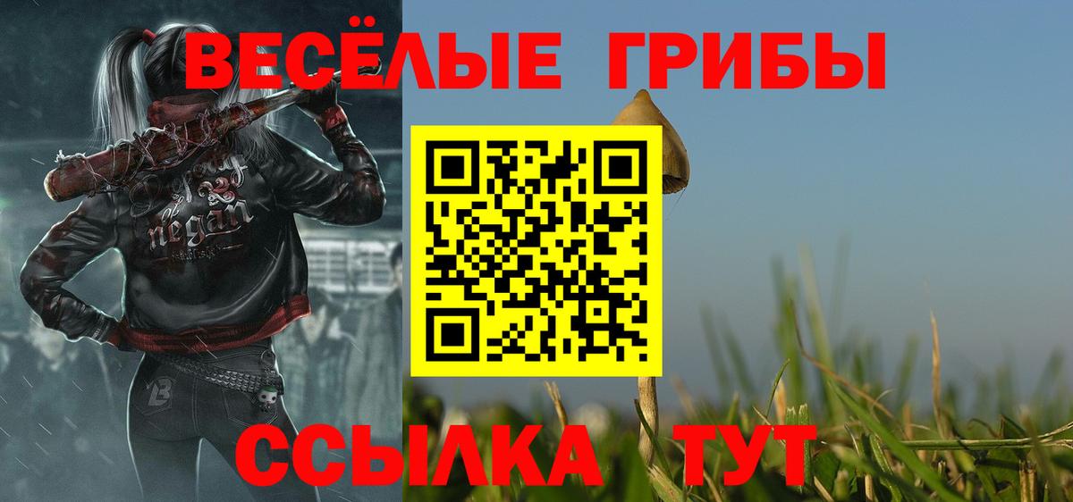 Заводоуковск  Галлюциногенные грибы Psilocybine cubensis  Вход с VPN  Галлюциногенные грибы GOLDEN TEACHER 